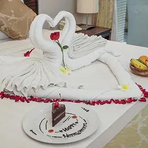 ديكوتا *** كوتا